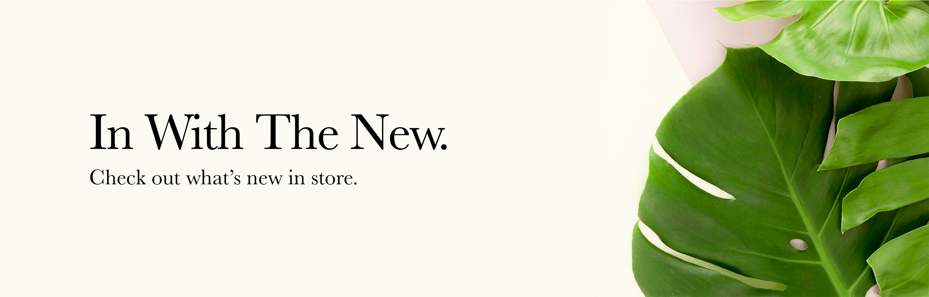 In With The New